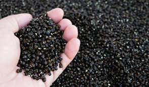 Black Gram (Urad Dal)