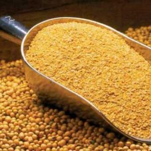 Soybean Meal