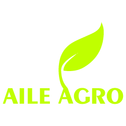 AILEE AGRO | Century-Old Sustainable Farming in Gujarat