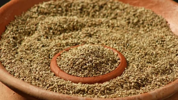 Carom Seeds (Ajwain)