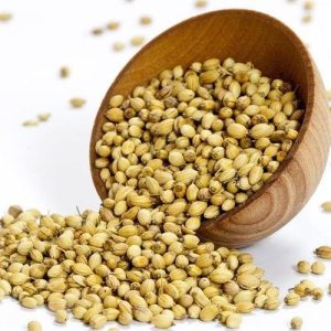 Coriander Seeds (Dhaniya)