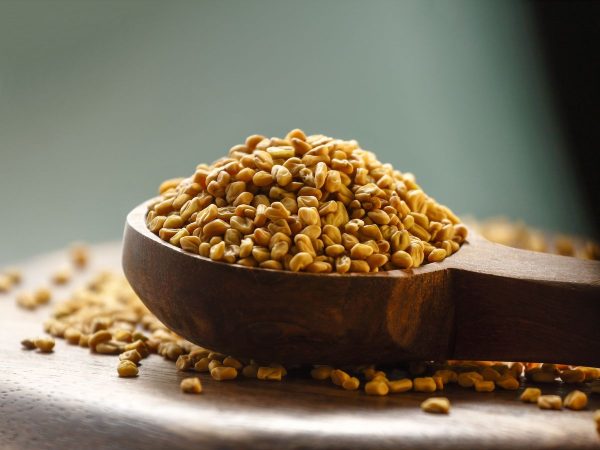 Fenugreek Seeds (Methi Dana)
