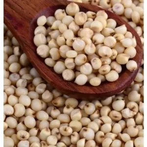 White Sorghum (Jowar)